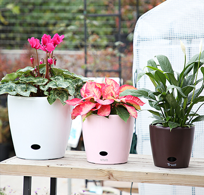 Home garden self watering flower plastic pot for plants