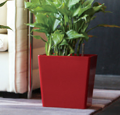 Self-Watering Planters That Will Help You Get a Green Thumb