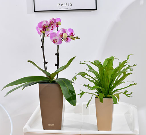 Office desk mini square plastic plant flower pots bulk