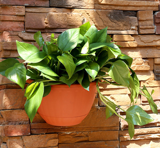 Plastic living wall mounted flower planter pot