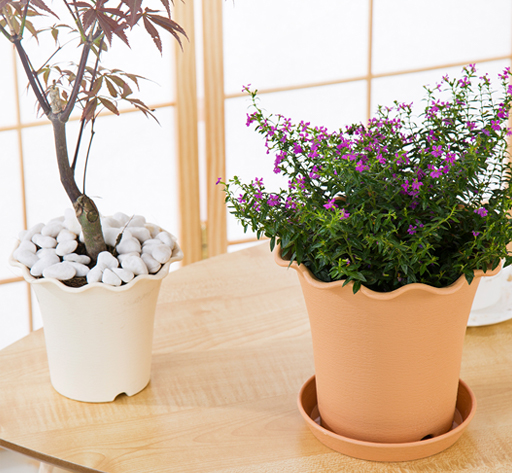 Cheap white plastic plant flower pots wholesale