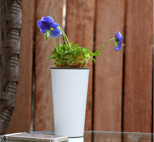 Wholesale indoor decorative plastic mini succulent plant pot